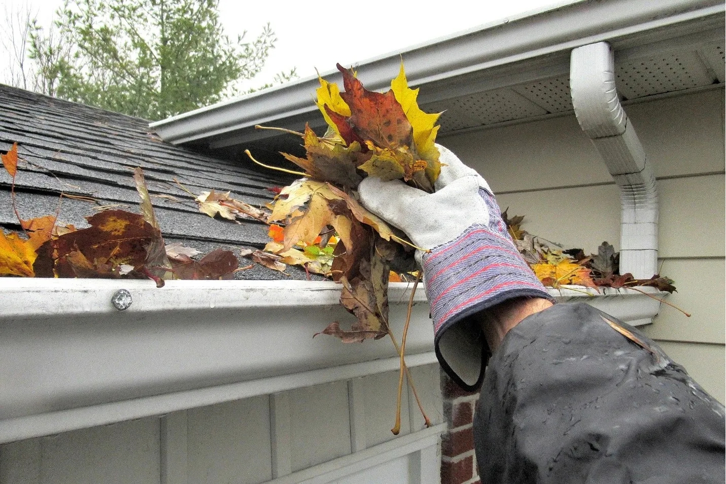 Gutter Cleaning & Downspout Care